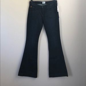 Hudson Ferris Flare Jeans